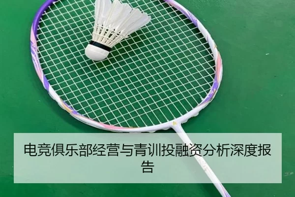 电竞俱乐部经营与青训投融资分析深度报告