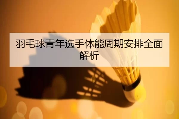 羽毛球青年选手体能周期安排全面解析